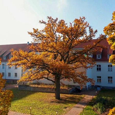 Parkresidenz Lychen, Ferienwohnung 8 Eksteriør billede