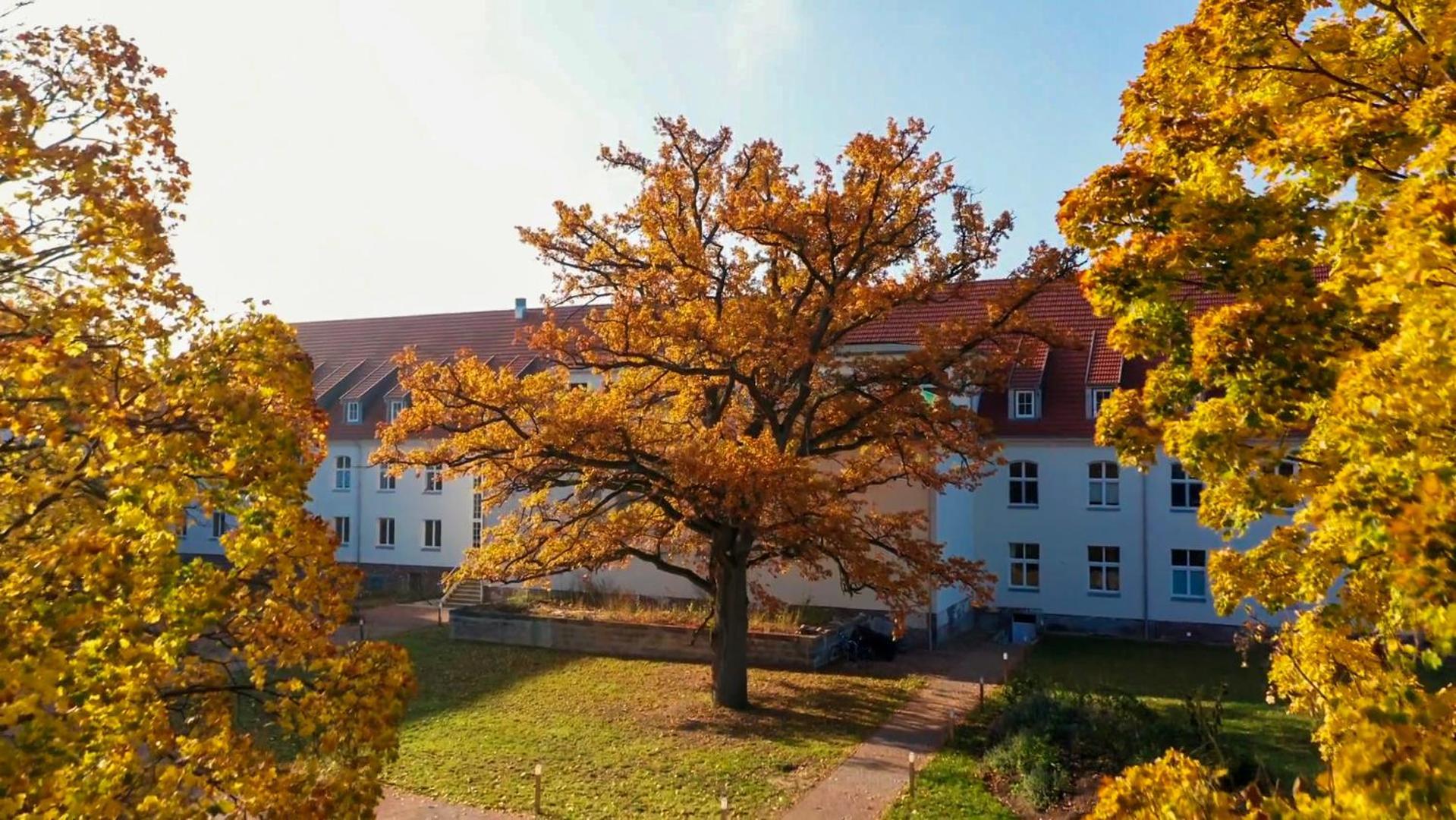 Parkresidenz Lychen, Ferienwohnung 8 Eksteriør billede