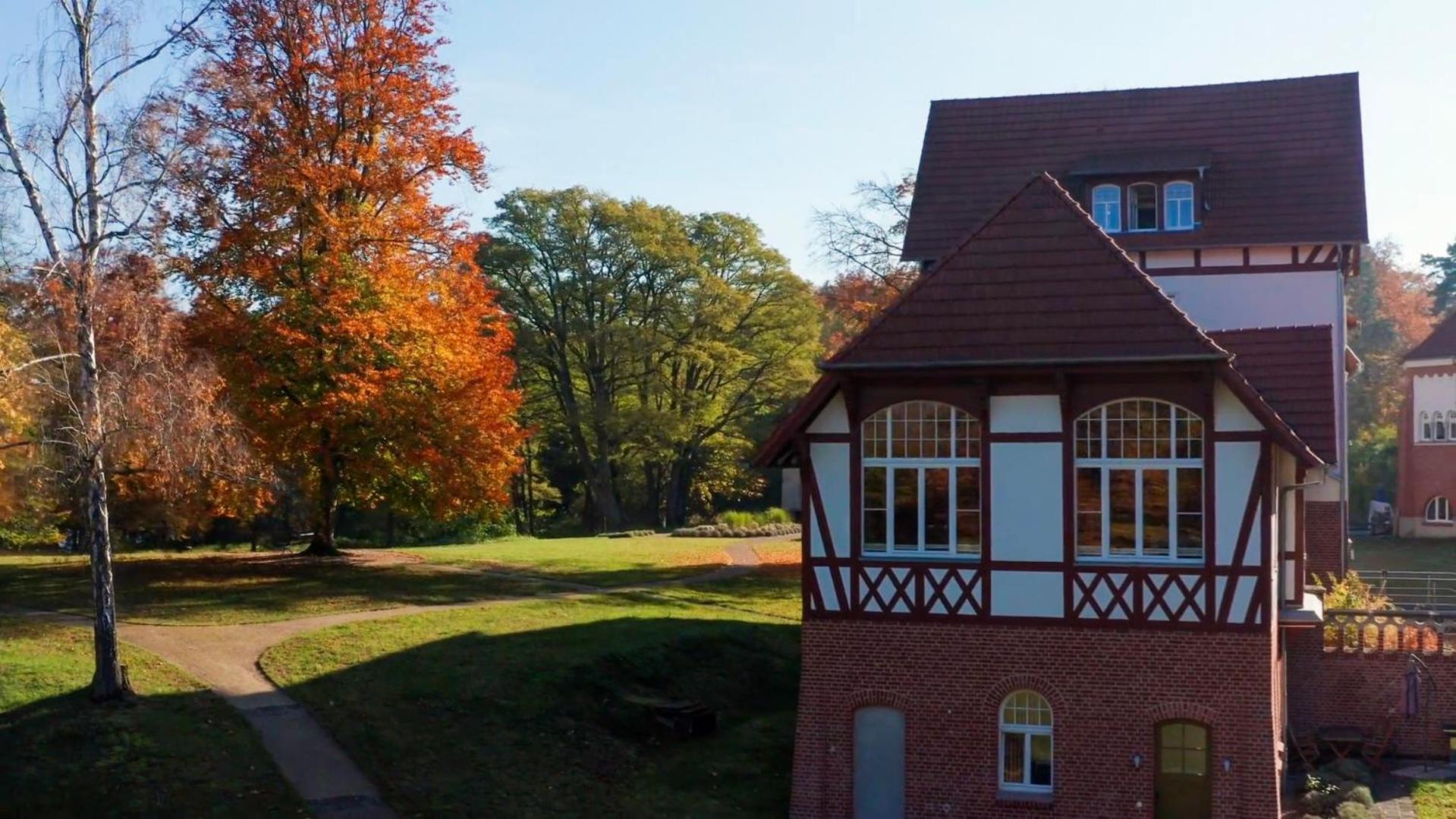 Parkresidenz Lychen, Ferienwohnung 8 Eksteriør billede